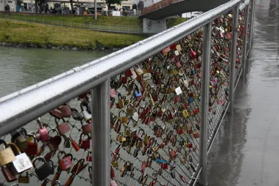 DSC_6141 (Large).JPG